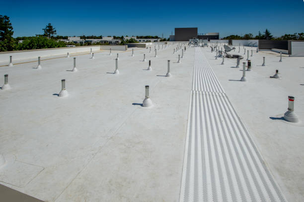 Best Roof Maintenance and Cleaning  in Schwenksville, PA